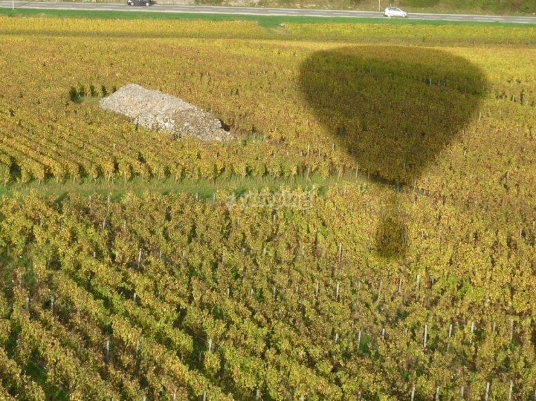 Au dessus des vignobles Au dessus des vignobles